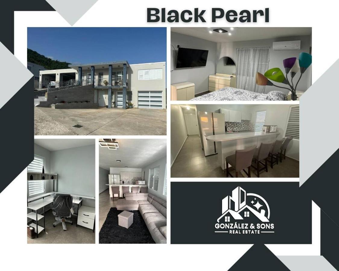 Black Pearl 과야마 외부 사진